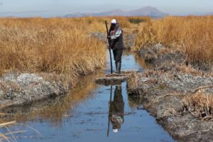 Descenso del nivel del agua en el lago Titicaca