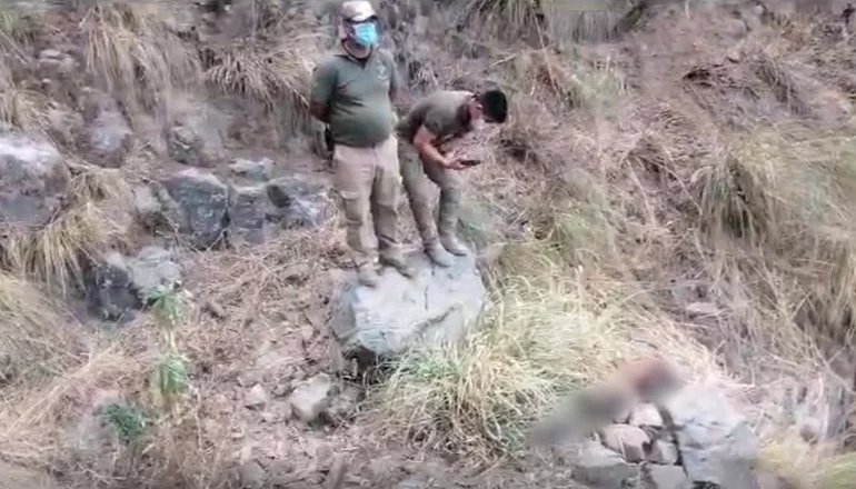Cuerpo sin vida de mujer encontrado en el cañadón Janamayu