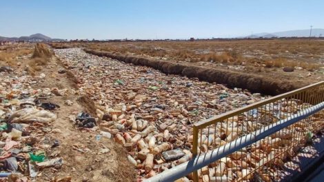 Protección del lago Uru Uru mediante rejas y biofiltración