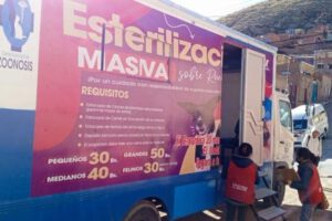 Campaña de esterilización gratuita de perros y gatos en el Distrito 4