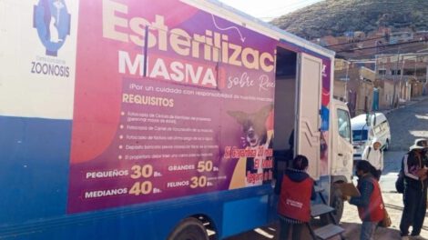 Campaña de esterilización gratuita de perros y gatos en el Distrito 4