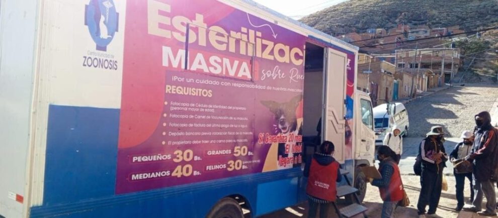 Campaña de esterilización gratuita de perros y gatos en el Distrito 4