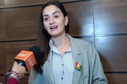 Vehículos confiscados en Bolivia según Luisa Nayar