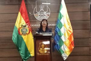 Candidatura de Andrónico Rodríguez en la Cámara de Senadores