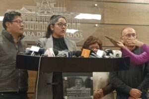 Informe sobre el litio por la diputada Lisa Claros