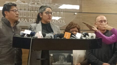 Informe sobre el litio por la diputada Lisa Claros