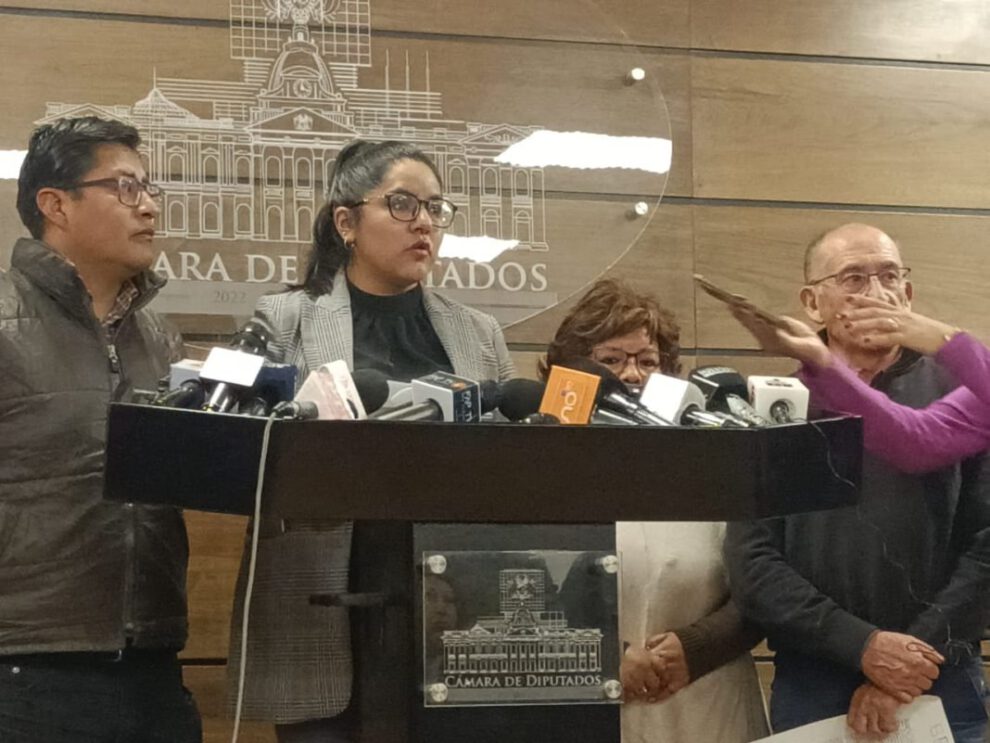 Informe sobre el litio por la diputada Lisa Claros