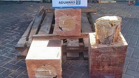 Cargamento boliviano de droga camuflada en troncos de madera