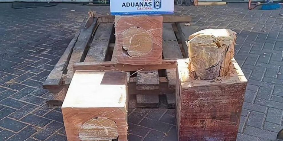 Cargamento boliviano de droga camuflada en troncos de madera