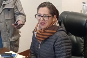 Postulación para el Senado por Ana María Castillo