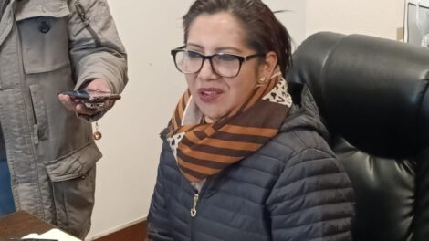 Postulación para el Senado por Ana María Castillo