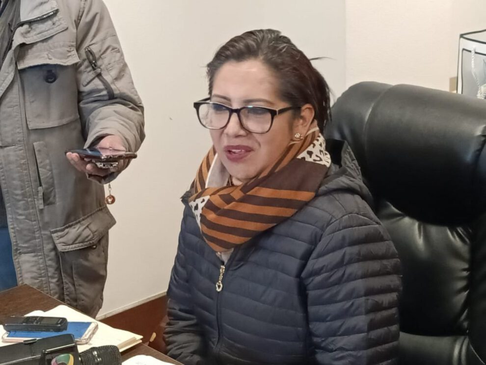 Postulación para el Senado por Ana María Castillo