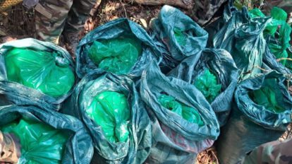 Detención preventiva narcotraficantes