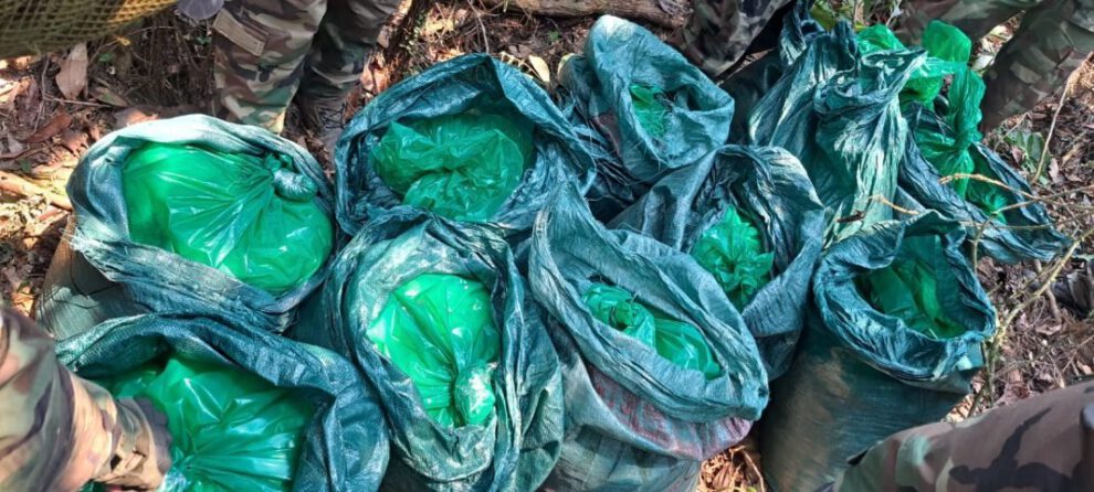 Detención preventiva narcotraficantes