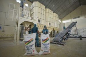 reducción de importaciones en Bolivia como resultado de la política de industrialización