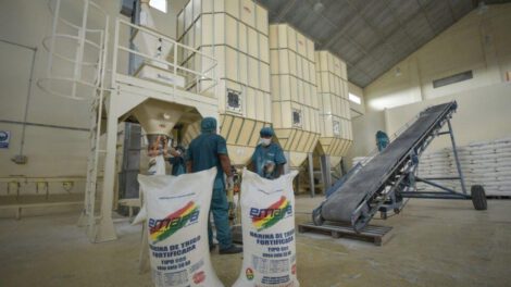 reducción de importaciones en Bolivia como resultado de la política de industrialización
