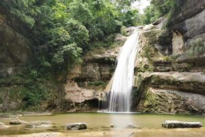 Ley 98 de Santa Cruz y su impacto en el patrimonio natural