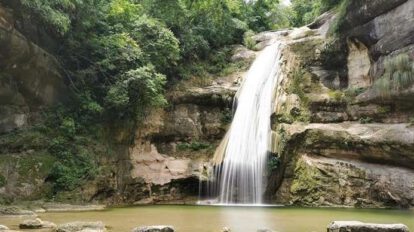 Ley 98 de Santa Cruz y su impacto en el patrimonio natural