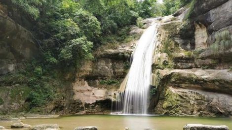 Ley 98 de Santa Cruz y su impacto en el patrimonio natural