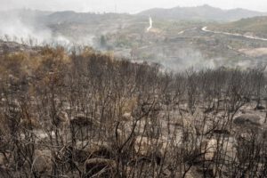 Focos de calor disminuyen gracias a las lluvias en el país