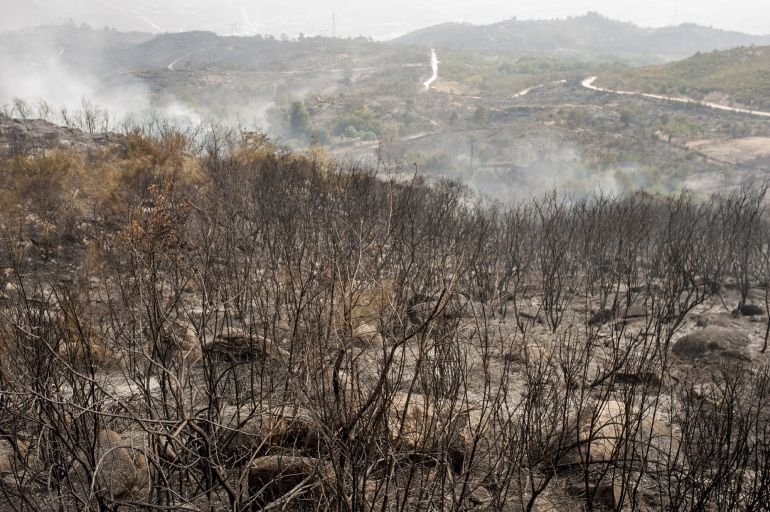 Focos de calor disminuyen gracias a las lluvias en el país