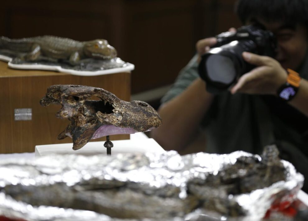 Nueva especie de aligátor en Tailandia