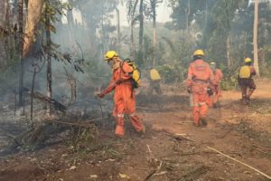 Incendios forestales en reserva beniana amenazan fuentes de agua vital