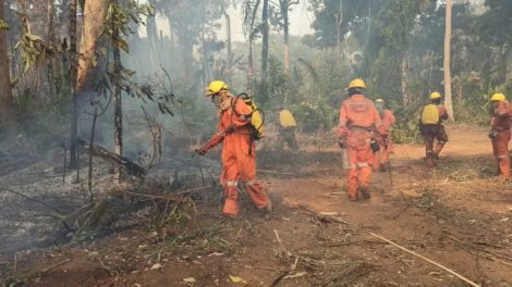 Incendios forestales en reserva beniana amenazan fuentes de agua vital