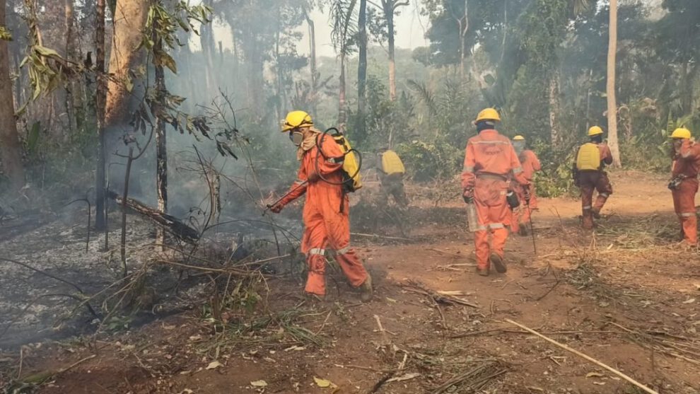 Incendios forestales en reserva beniana amenazan fuentes de agua vital
