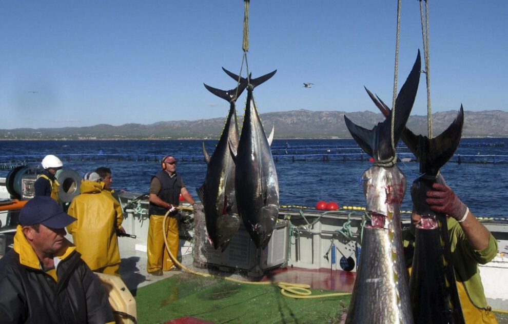 Captura sustentable de atunes tropicales liderada por Brasil