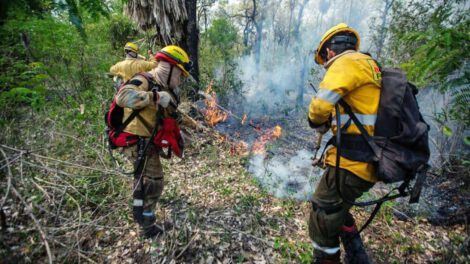 Bomberos trabajando para apagar los incendios forestales en Santa Cruz