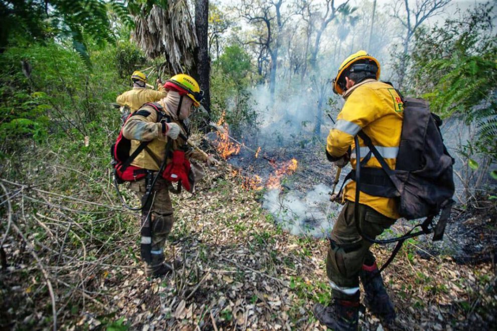 Bomberos trabajando para apagar los incendios forestales en Santa Cruz
