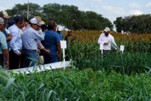 ANAPO y su compromiso con prácticas agrícolas sostenibles