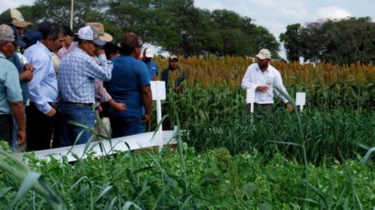 ANAPO y su compromiso con prácticas agrícolas sostenibles