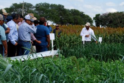ANAPO y su compromiso con prácticas agrícolas sostenibles