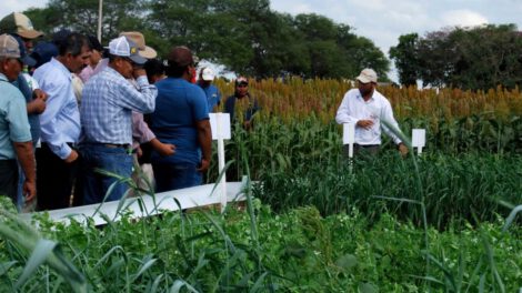 ANAPO y su compromiso con prácticas agrícolas sostenibles