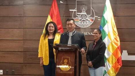 Candidatura de Freddy Mamani para presidir la Cámara de Diputados