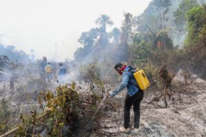 Incendios en el Beni afectaron 1,5 millones de hectáreas de bosque