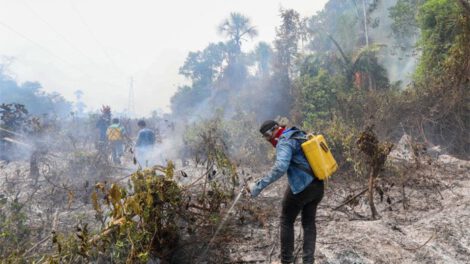 Incendios en el Beni afectaron 1,5 millones de hectáreas de bosque