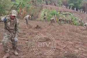 Erradicación de cultivos ilegales de coca en el Parque Nacional Amboró