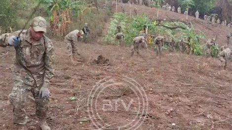 Erradicación de cultivos ilegales de coca en el Parque Nacional Amboró