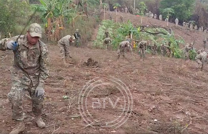 Erradicación de cultivos ilegales de coca en el Parque Nacional Amboró
