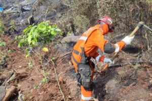 Incendio en Palos Blancos amenaza la región