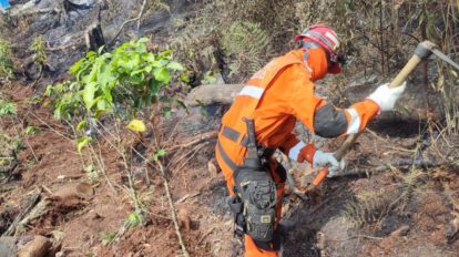 Incendio en Palos Blancos amenaza la región