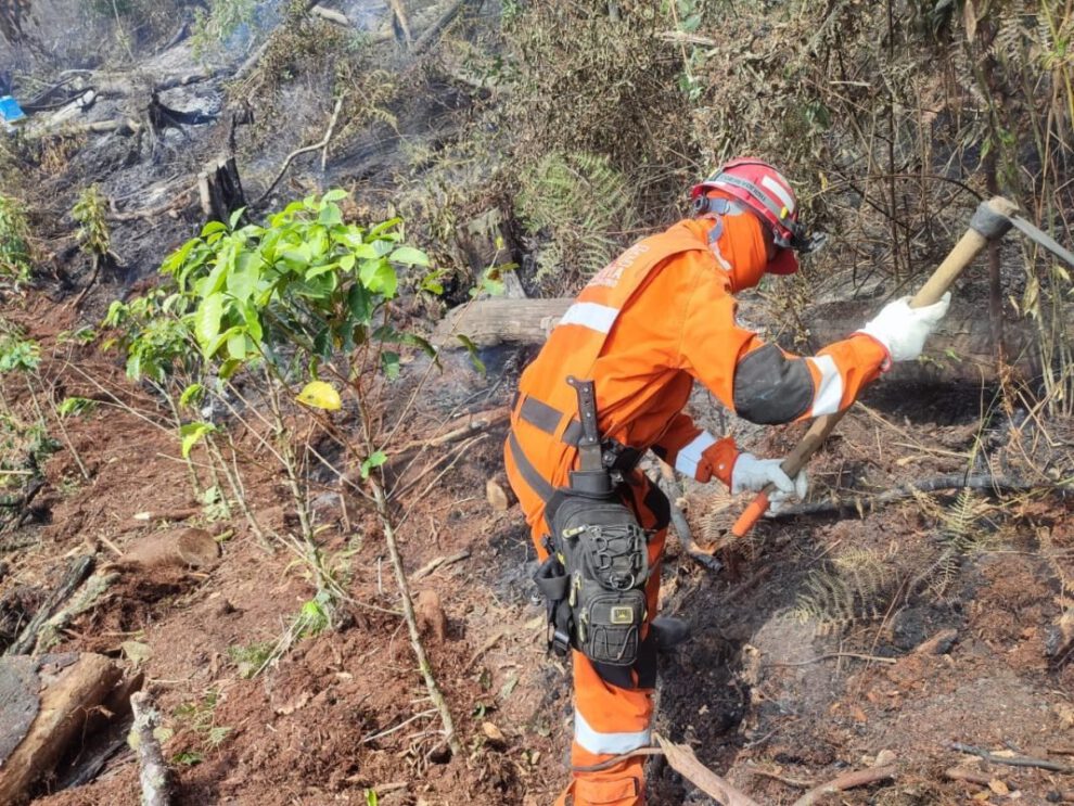 Incendio en Palos Blancos amenaza la región