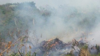 Incendios forestales en Santa Cruz