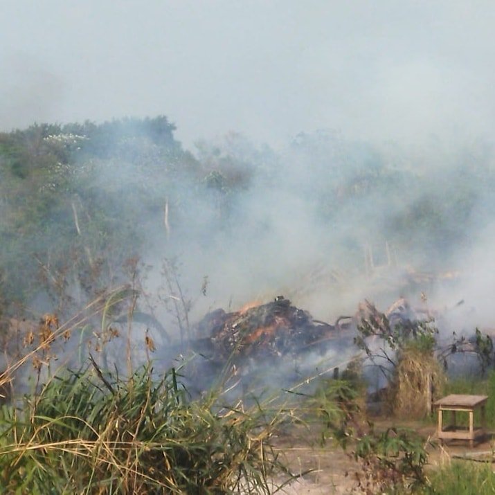 Incendios forestales en Santa Cruz