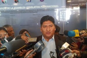 División del MAS en la Cámara de Diputados