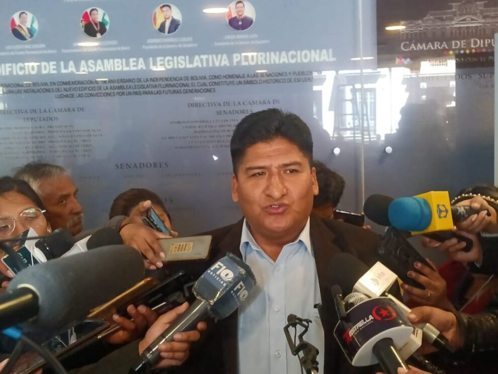 División del MAS en la Cámara de Diputados