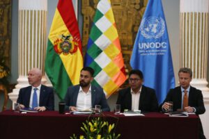 Cultivos de hoja de coca en Bolivia disminuyen un 2% en 2022